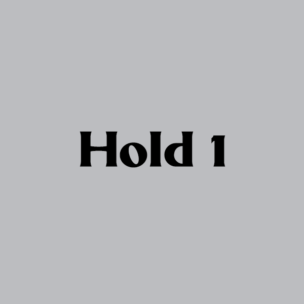 Picture of Hold 1